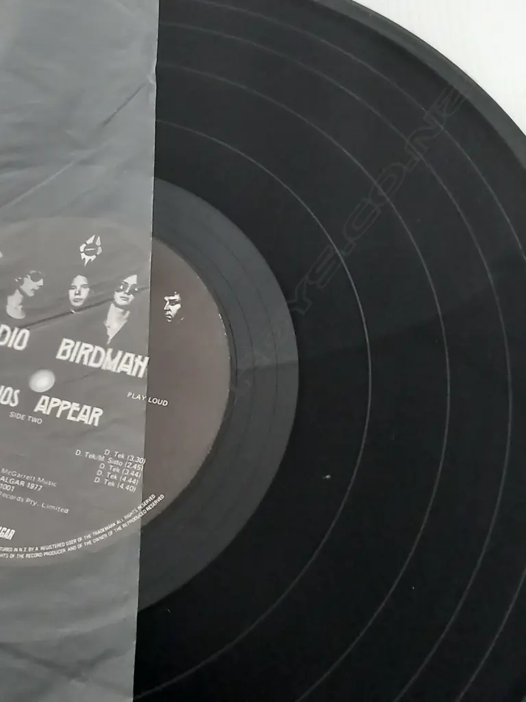 Radio Birdman, Radios Appear Image 1++
